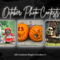 October Photo Contests