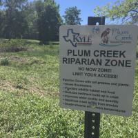 Riparian area along Plum Creek in Steeplechase Park in Kyle