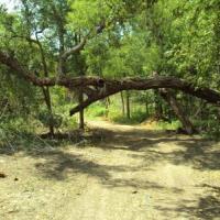 Emerald Crown Trail in Kyle, Texas
