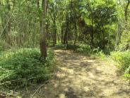 Plum Creek Nature Trail
